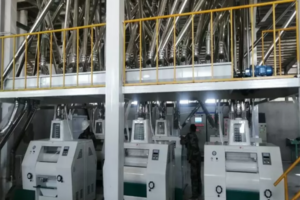 100TPD Bột ngô và dây chuyền sản xuất bột ngô