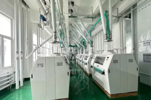 Dây chuyền sản xuất bột mì lớn 600 tấn