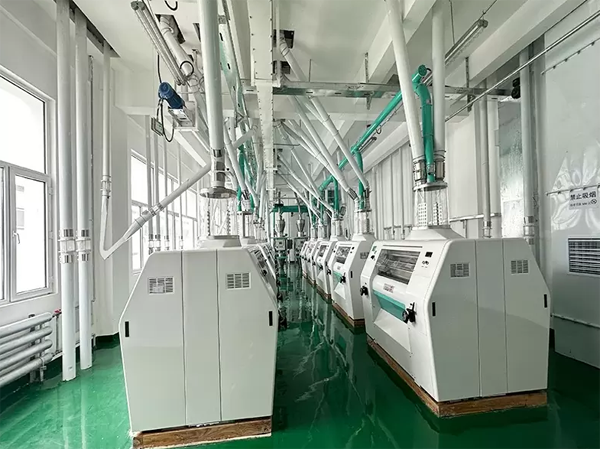Dây chuyền sản xuất bột mì 600 tấn