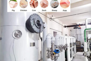 Nhà sản xuất máy khai thác dầu mỡ động vật