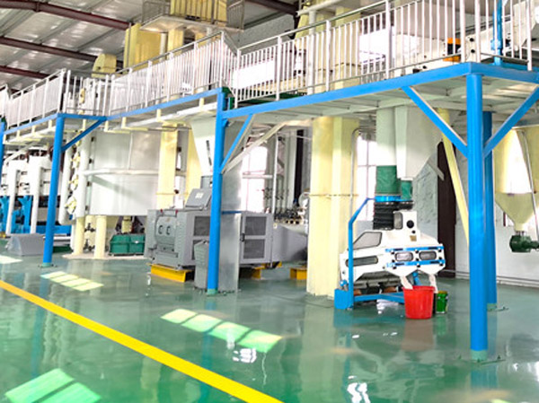 Quá trình sản xuất dầu mè