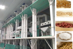 Giải pháp dây chuyền làm sạch hạt giống