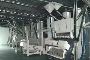 Nhà sản xuất máy chế biến ngũ cốc và đậu