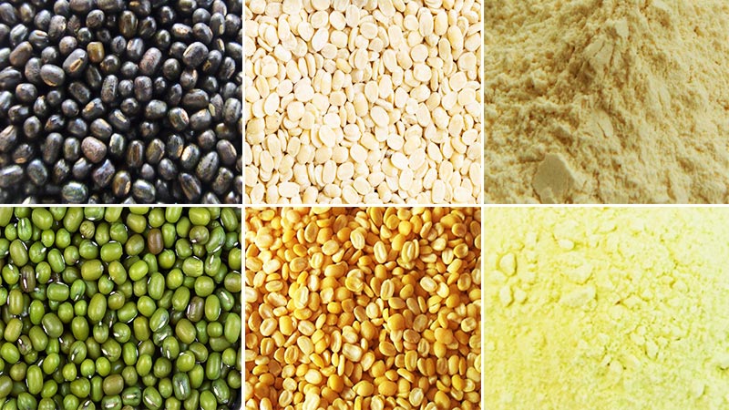 Nhà sản xuất máy chế biến đậu xanh
