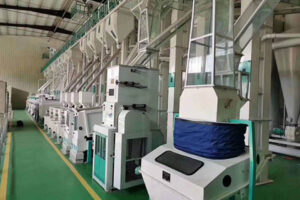 Nhà sản xuất máy chế biến đậu fava nhỏ