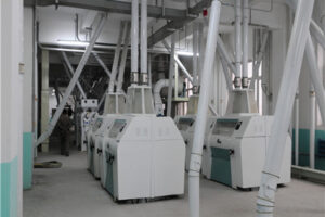 Máy chế biến đậu nành Nhà sản xuất
