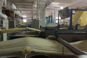 Nhà sản xuất dây chuyền sản xuất bột gạo tự nấu hoàn toàn tự động