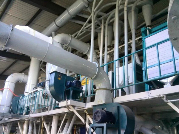 Yellow Millet Processing Machine Manufacturer