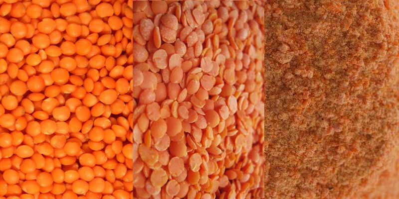 Máy chế biến bột đậu lăng Nhà sản xuất