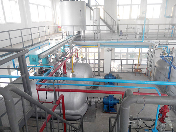 Sản xuất dầu hạt trà
