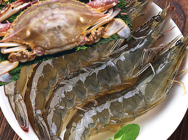 Dây chuyền sản xuất thức ăn tôm và cua