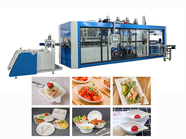 Dây chuyền sản xuất đồ dùng bàn có thể phân hủy một lần tự động