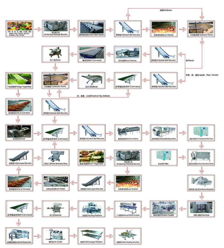 Đặc điểm của dây chuyền sản xuất chế biến trái cây và rau khô khô