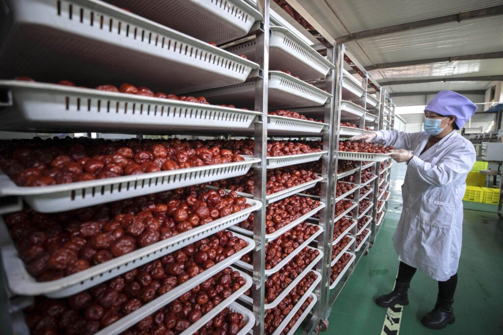 Máy làm nước ép ngày