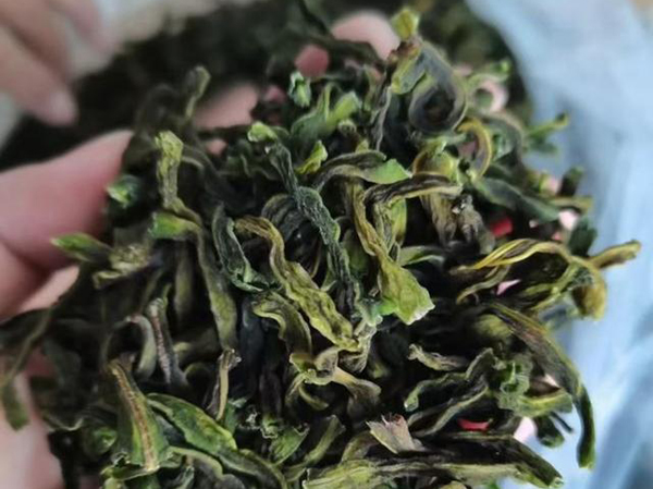 Máy sấy khô là một loại máy chế biến thực phẩm mới