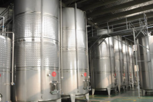 Nhà sản xuất dây chuyền sản xuất rượu trái táo gai hoàn toàn tự động