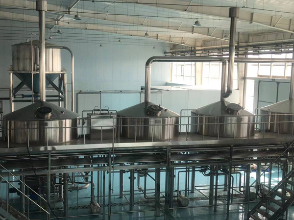 Nhà sản xuất dây chuyền sản xuất rượu sake hoàn toàn tự động