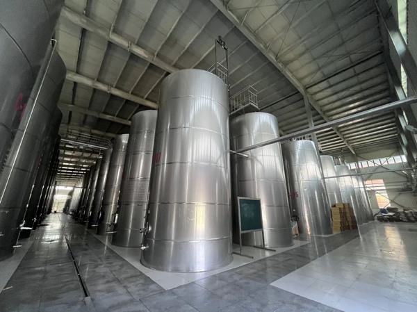 Nhà sản xuất máy làm rượu vang hoàn toàn tự động