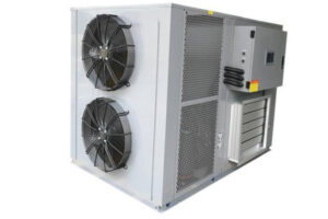 Nhà sản xuất máy sấy ớt dâu tây