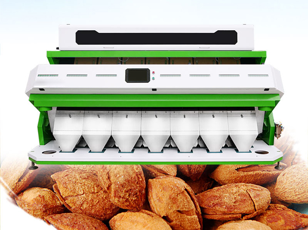 Nhà sản xuất máy phân loại hạnh nhân theo màu