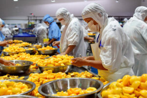 Nhà sản xuất dây chuyền sản xuất nước ép đào tự động