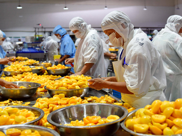 Nhà sản xuất nhà máy sản xuất nước ép đào tây tự động