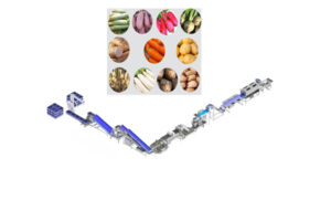 Nhà sản xuất dây chuyền lắp ráp rễ và cây rễ tự động liên tục