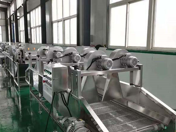 Nhà sản xuất máy sấy trái cây và rau tự động