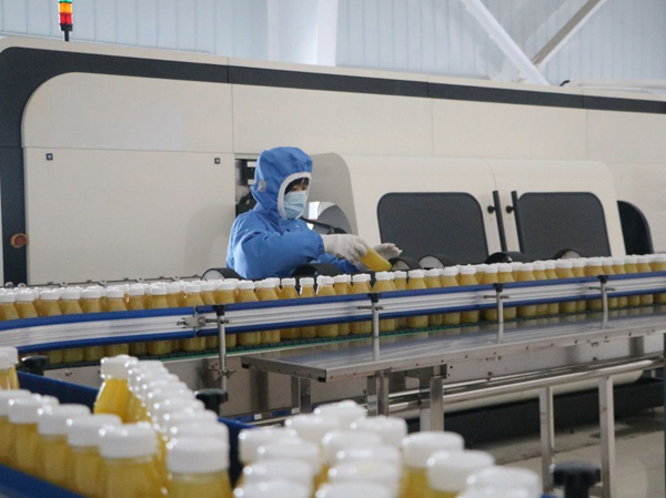 Nhà sản xuất dây chuyền sản xuất đồ uống trái cây tự động