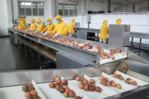 Nhà sản xuất dây chuyền sản xuất nước ép đam mê tự động