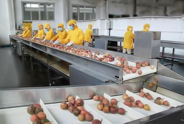 Nhà sản xuất dây chuyền sản xuất nước ép đam mê tự động