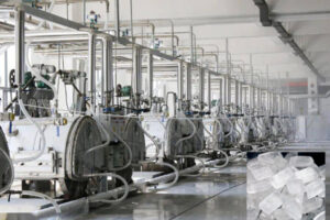 Nhà sản xuất máy làm đường phèn tự động