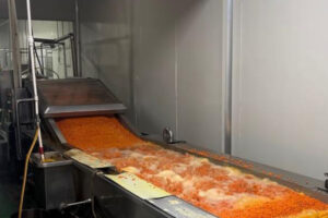 Nhà sản xuất dây chuyền sản xuất nước ép buckthorn biển tự động