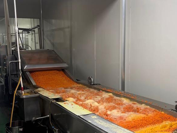 Nhà sản xuất dây chuyền sản xuất nước ép buckthorn biển tự động