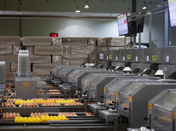 Nhà sản xuất dây chuyền sản xuất trứng sôi và vỏ