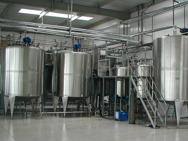 Nhà sản xuất dây chuyền sản xuất bột trái cây berry tự động hoàn toàn