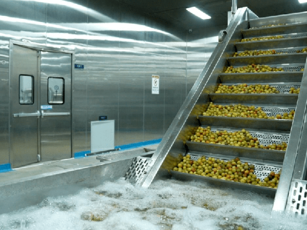 Nhà sản xuất dây chuyền sản xuất mứt trái cây tự động hoàn toàn