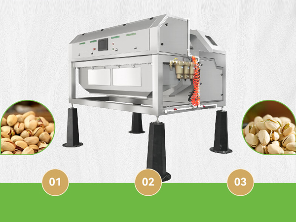 Nhà sản xuất máy phân loại màu hạt hồ trăn