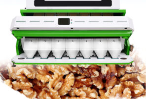 Nhà sản xuất máy phân loại màu hạt óc chó