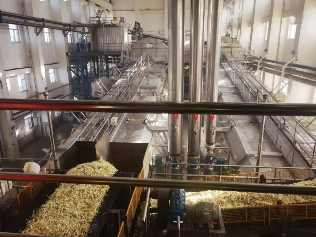 Nhà máy chế biến củ cải đường