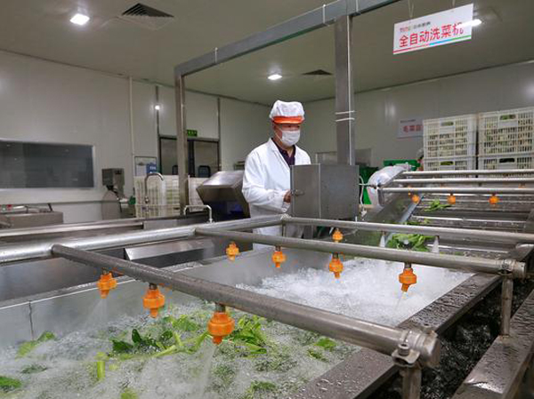 Giá thiết bị máy rửa rau củ