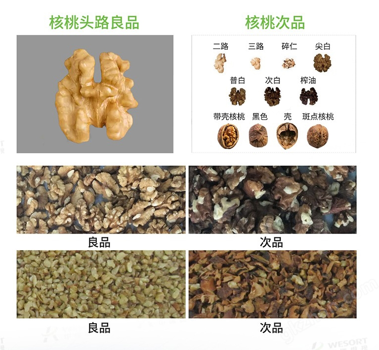 Máy phân loại quả óc chó