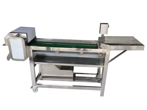 Máy ép nấm ZX-300M Máy ép rau và ớt